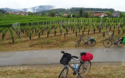 wine region in Allsace (submitted by fudledudle)