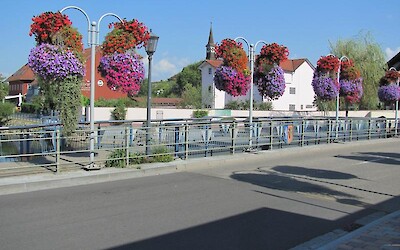 Beatifull flowers on the Bridges (submitted by fudledudle)