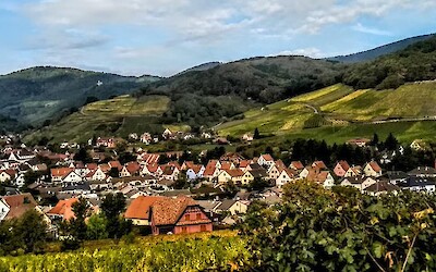 Obernai to St. Hippolyte (submitted by Dona2017)