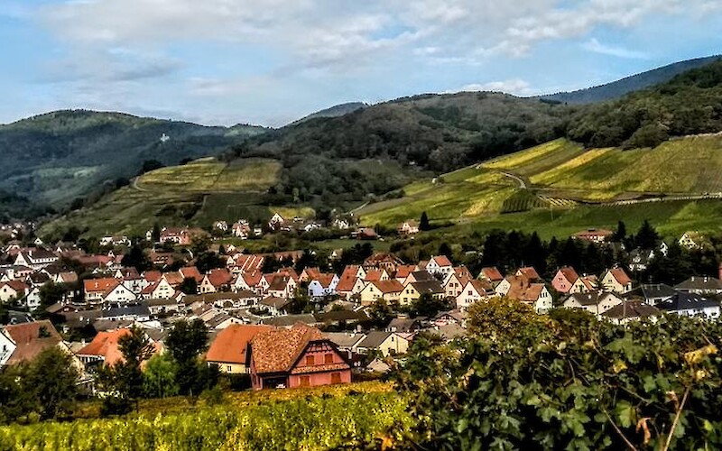Obernai to St. Hippolyte (submitted by Dona2017)