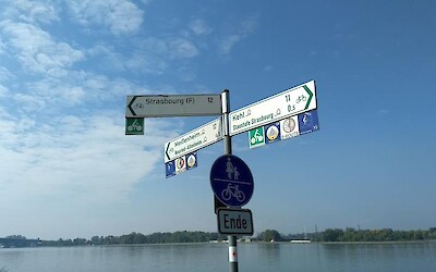 To Strasbourg (submitted by Dona2017)