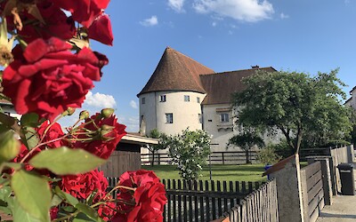 (submitted by Anne Stanek)