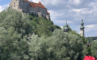 (submitted by Anne Stanek)