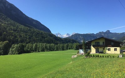 Photo 3 (submitted by SWTA)