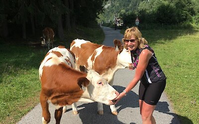 Special Friends. (submitted by Jim G)