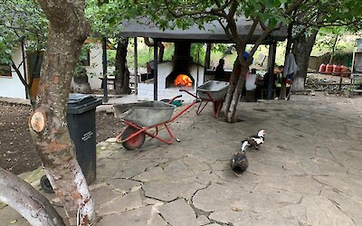 The coolest place we stayed. Watched the fish swim and then had fish for dinner. (submitted by Lady Di)