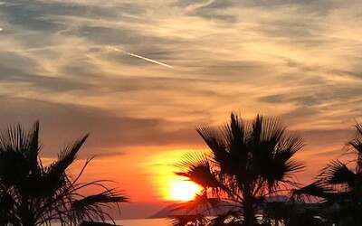 Lovely ending to a wonderful tour (submitted by Wendy)