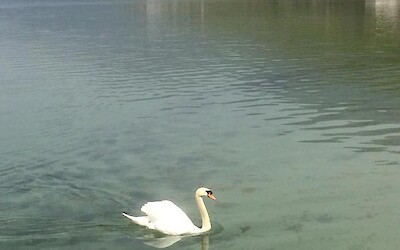 The view from the hotel at Lake Ohrid (submitted by Bowsermania)