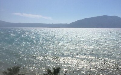 Your reward at the end of the ride..... (submitted by Bowsermania)