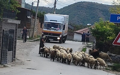 on route from Pogradec to Korc&euml; (submitted by Roxana Miranda)