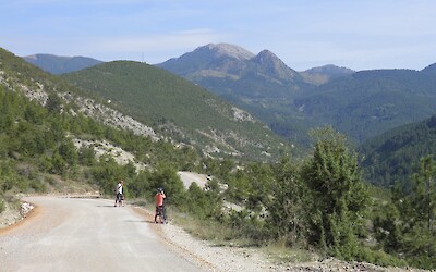 (submitted by David Hodgson)