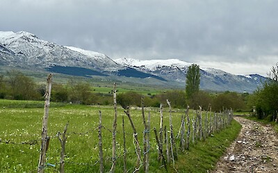 On the way to Korce (submitted by Lisa Luyckx)