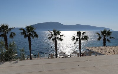 (submitted by Julane Anderson)