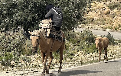 (submitted by Mary Patno)