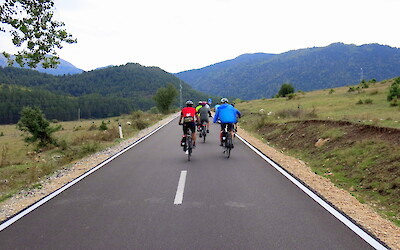 (submitted by Tom Gihring)