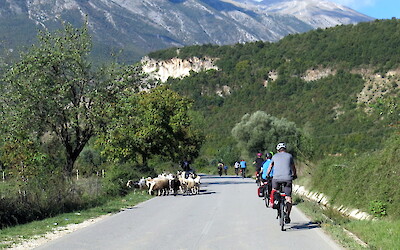 (submitted by Tom Gihring)