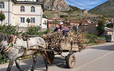 (submitted by Vicki Jones)