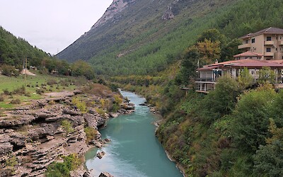 (submitted by Vicki Jones)