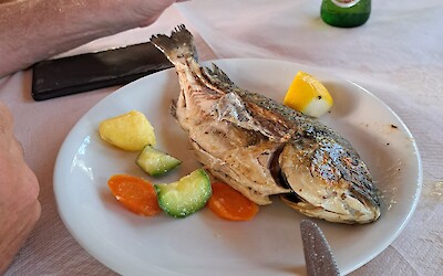 (submitted by Vicki Jones)