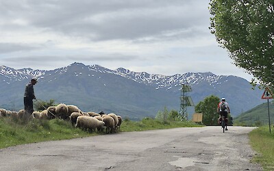 On route to Gjirokaster (submitted by Deborah Davis)