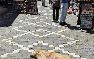 Gjirokaster bazar (submitted by Deborah Davis)