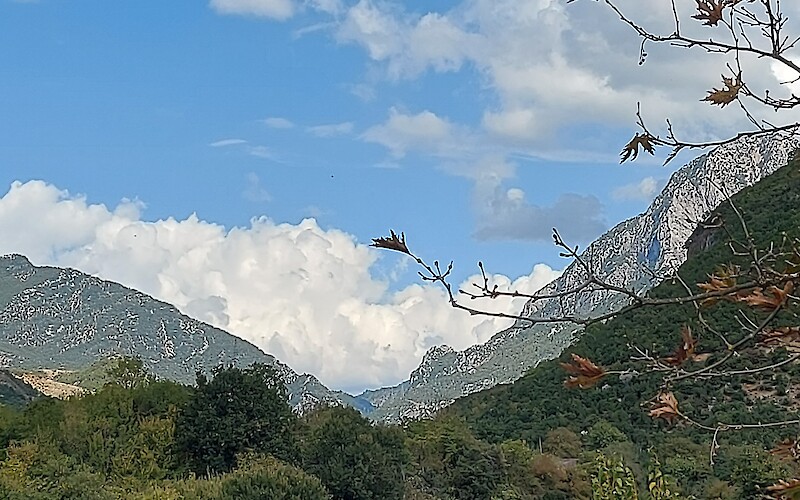 Photo by Marion M.