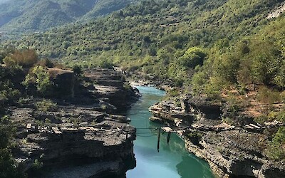 Photo 2 (submitted by Ashley A)