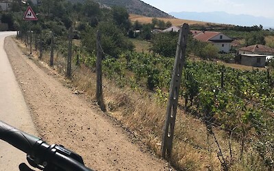 Photo 5 (submitted by Ashley A)