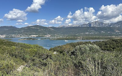 (submitted by Joan Sawaya-Orgeldinger)