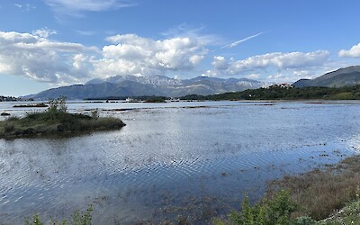 (submitted by Joan Sawaya-Orgeldinger)