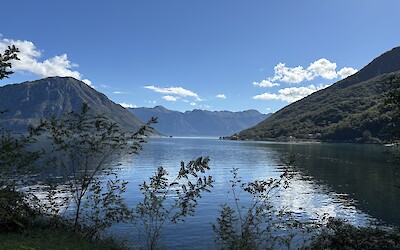 (submitted by Joan Sawaya-Orgeldinger)