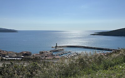 (submitted by Joan Sawaya-Orgeldinger)