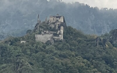 (submitted by Elizabeth Gray)