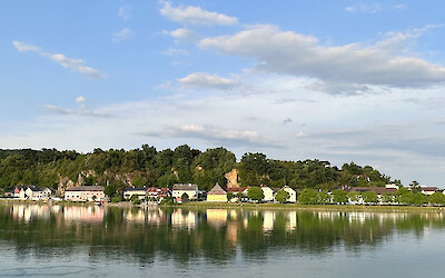 (submitted by Francisco Castro)