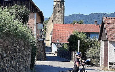 (submitted by Francisco Castro)