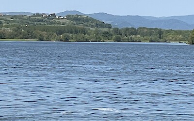 Danube river view outside Krems. (submitted by Jennifer Duncan-morin)