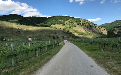 Photo 4 (submitted by Alex655321)