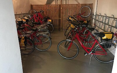 Photo 5 (submitted by Alex655321)