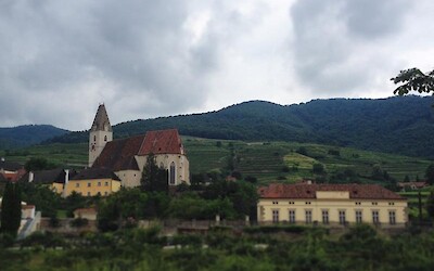 Wachau, Austria's most famous wine-growing region (submitted by Chloek1234)