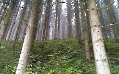 Photo 2 (submitted by Smgds)