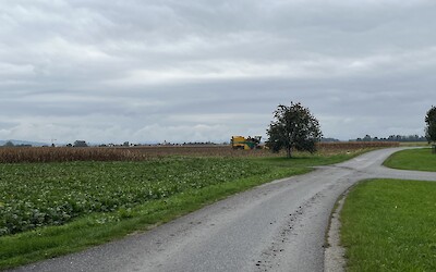 Quiet roads through farming areas (submitted by Stephen A)