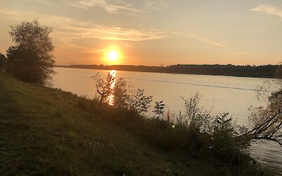 (submitted by Mary Giblin)