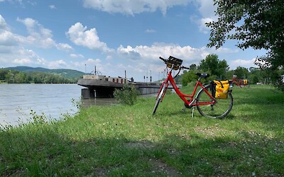 Photo 1 (submitted by Team Hylton)