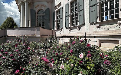 Melk Abbey (submitted by Elise P.)