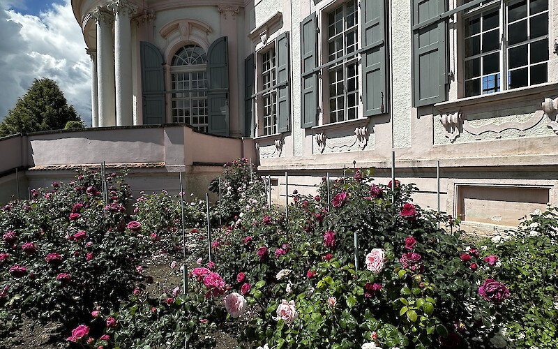 Melk Abbey (submitted by Elise P.)