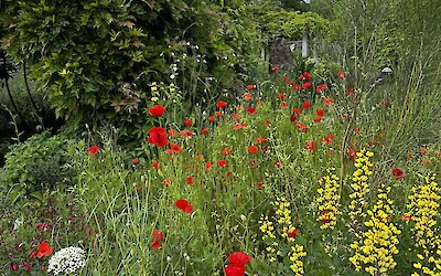 Tulln Gardens (submitted by Elise P.)