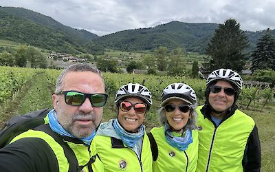 Stopped to enjoy the vineyard heading towards the town we were staying in in Austria.