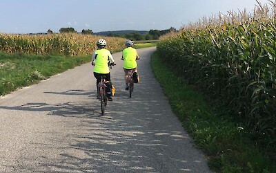 Photo 3 (submitted by 4the Danube)