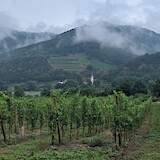 Wine country on a rainy day, Durnstein, Austria.