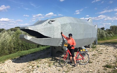 Photo 1 (submitted by Estrella55)